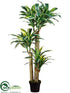 Silk Plants Direct Dracaena Tree - Green Cream - Pack of 1