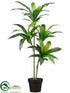 Silk Plants Direct Exotic Dracaena Tree - Green - Pack of 4
