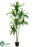 Silk Plants Direct Dracaena Tree - Green - Pack of 2