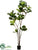 Silk Plants Direct Fiddle Leaf Tree - Green - Pack of 2