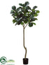 Silk Plants Direct Fiddle Leaf Fig Tree - Green - Pack of 2