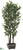 Curly Ficus Tree - Green Two Tone - Pack of 2