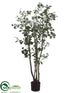 Silk Plants Direct Mistletoe Ficus Tree - Green - Pack of 2