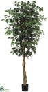 Silk Plants Direct Ficus Tree - Green - Pack of 2