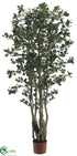Silk Plants Direct Oriental Ficus Tree - Green Two Tone - Pack of 2