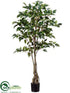 Silk Plants Direct Ficus Tree - Green - Pack of 2