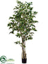 Silk Plants Direct Ficus Tree - Green - Pack of 4