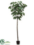 Silk Plants Direct Fig Tree - Green - Pack of 2