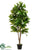 Fruiting Tree - Green - Pack of 2
