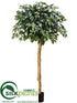 Silk Plants Direct Ficus Topiary Tree - Green - Pack of 2