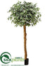 Silk Plants Direct Ficus Topiary Tree - Variegated - Pack of 2