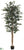 Ficus Tree - Green - Pack of 2