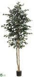 Silk Plants Direct Ficus Tree - Green - Pack of 2