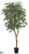 Ficus Tree - Green Two Tone - Pack of 2