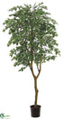 Silk Plants Direct Ficus Tree - Green Two Tone - Pack of 2