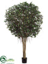 Silk Plants Direct Ficus Retusa Tree - Green Two Tone - Pack of 1