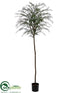 Silk Plants Direct Taxus Tree - Green - Pack of 2