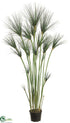 Silk Plants Direct Grass Tree - Green - Pack of 1