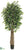 Ficus Tree - Green - Pack of 2