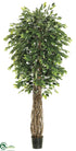 Silk Plants Direct Ficus Tree - Green - Pack of 2