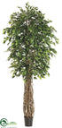 Silk Plants Direct Ficus Tree - Green - Pack of 2