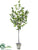 Silk Plants Direct Laurel Tree - Green - Pack of 1