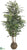 Mahonia Tree - Green - Pack of 1