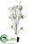 Magnolia Tree - White - Pack of 1