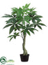 Silk Plants Direct Money Tree - Green - Pack of 2