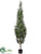 Silk Plants Direct Nandina Tree - Green - Pack of 2