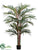 Palm Tree - Green - Pack of 1