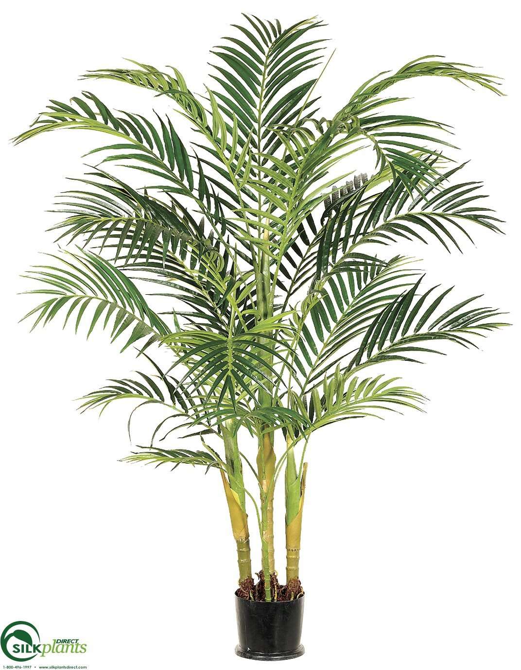 palm looking plants Fake Palm Trees | 6' Areca Palm Tree in Green| Faux Palm Trees