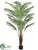 Areca Palm Tree - Green - Pack of 2