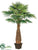 Silk Plants Direct Areca Palm Tree - Green - Pack of 2