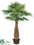 Silk Plants Direct Areca Palm Tree - Green - Pack of 2