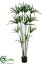 Silk Plants Direct Papyrus Plant - Green - Pack of 1