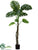 Split Philodendron Tree - Green - Pack of 2