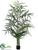 Kentia Palm Tree - Green - Pack of 2