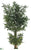 Fishtail Palm Tree - Green - Pack of 2