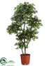Silk Plants Direct Pittosporum Tree - Green - Pack of 1