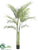 Areca Palm Tree - Green - Pack of 2