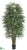 Rhapis Palm Tree - Green - Pack of 2