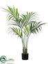 Silk Plants Direct Kentia Palm Tree - Green - Pack of 2