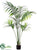 Kentia Palm Tree - Green - Pack of 2