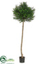 Silk Plants Direct Italian Podocarpus Ball Topiary - Green Two Tone - Pack of 2