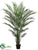 Tropical Palm Tree - Green - Pack of 2