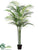 Tropical Palm Tree - Green - Pack of 2