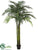 Areca Palm Tree - Green - Pack of 2