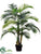 Hearts Palm Tree - Green - Pack of 4