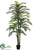 Hearts Palm Tree - Green - Pack of 2